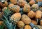 Bromelainas - tai fermentų kompleksas, gaunamas iš ananasų.