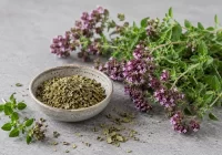 Raudonėlis - tai aromatingas ir maistui ir gydymui vartojamas augalas